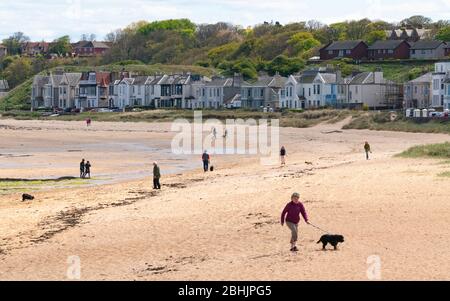 North Berwick, Schottland, Großbritannien. 26. April 2020. Blick auf den Strand in North Berwick mit sehr wenigen Menschen im Freien. Die Blockierung scheint in North Berwick ernst genommen zu werden, mit leeren Stränden und Straßen, die im letzten Monat normal sind. Iain Masterton/Alamy Live News Stockfoto