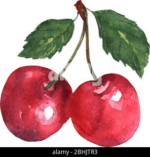 Zwei rote Kirschen mit Blättern in Aquarellen auf weißem Hintergrund. Helle süße Farbe. Süßes Obst. Vektor Stock Vektor