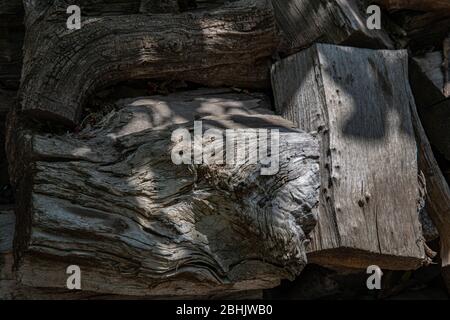 Geknüpfte Holzoberfläche von unebenen rissenen Hölzern im Sonnenlicht. Raue Holzstruktur von faseriger Struktur. Brauner Hartholz Hintergrund mit Kopierraum Stockfoto