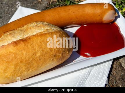 Bockwurst mit Brötchen und Ketchup Stockfoto