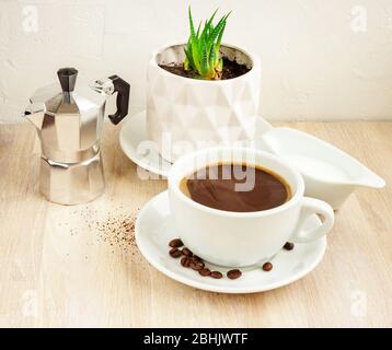 Tasse Kaffee, Untertasse und Bohnen, Aluminium-Kaffeemaschine, Milchbehälter, grüne Sukkulente Pflanze in Topf Stockfoto