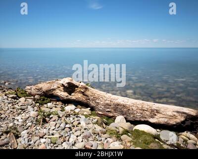 Treibholz ist an einem Kiesstrand im Queen's Royal Park aufgewaschen. Der Park liegt an der Mündung des Niagara River am Lake Ontario. Niagara-on-the-Lake, ON Stockfoto