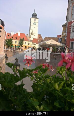 Der Ratsturm (Turnul Sfatului) und der kleine Platz in Sibiu, Rumänien Stockfoto