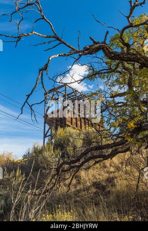 Die Pioche Aerial Tramway transportierte Silbererz aus den Minen in den 1920er und 1930er Jahren zur Godbe Mill in Pioche, Nevada, USA Stockfoto