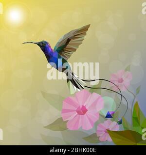 Isoliert von Low Poly bunten Kolibri und Blume, Tier-Geometrie, Party Vögel Konzept, Vektor. Stock Vektor