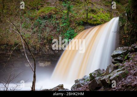 Sgwd Gwladus, The Lady Falls, auf dem Elidir Trail in den Brecon Beacons, Wales, nach heftigen Regenfällen. Braun-weißer Wasserfall mit langer Exposition Stockfoto