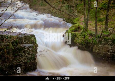 Sgwd y Bedol, die Horseshoe Falls, nach starkem Regen auf dem Fluss Neath in Wasserfall Land in den Brecon Beacons - atemberaubende lange Exposition Stockfoto