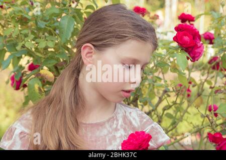 Ein süßes Mädchen mit Pferdeschwanz, das Rosen in einem Sommergarten ansieht Stockfoto