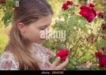 Ein süßes Mädchen mit braunen Haaren riecht Rosen im Garten Stockfoto