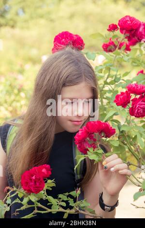 Ein Teenager-Mädchen, das Rosen in einem schönen Sommergarten anschaut und riecht Stockfoto