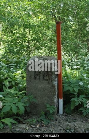 Grenzstein in einem ausrischen Wald Stockfoto