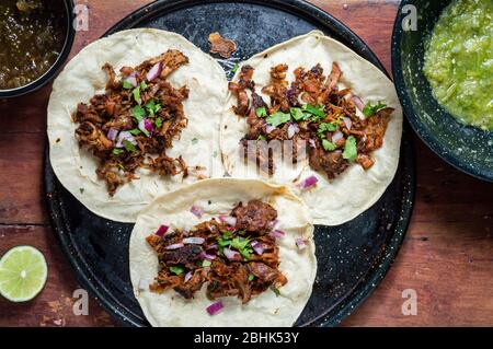 Carnitas Tacos mit roten Zwiebeln und roher grüner Salsa Stockfoto