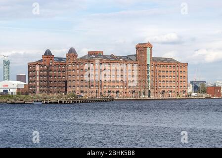 East Float Quay, ehemaliges Getreidelager, das in Wohnungen umgewandelt wurde, mit Blick auf East Float, Birkenhead. Stockfoto