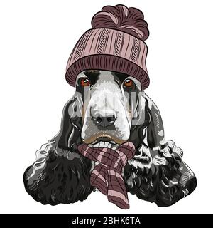 Vector Hipster schwarz Hund Englisch Cocker Spaniel Rasse in einem warmen Winter gestrickt braunen Hut und Schal Stock Vektor