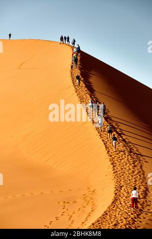 Touristen klettern die Sossusvlei Dune 45 im Namib-Naukluft Nationalpark hinauf. Stockfoto