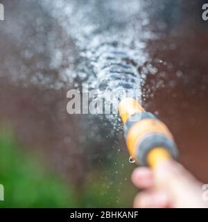 Gießen eines Gartens mit Spray aus einer Wasserpfeife Stockfoto