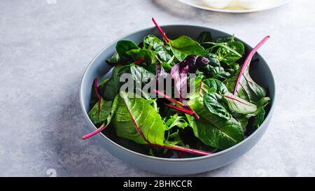 Mangold Salat in blauer Schüssel Draufsicht Stockfoto