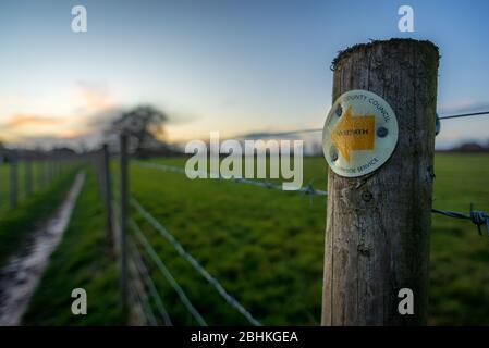 County Council and Countryside Service Schild auf einem Holzpfosten auf einem Fußweg in Abendlicht, Hampshire, Großbritannien Stockfoto