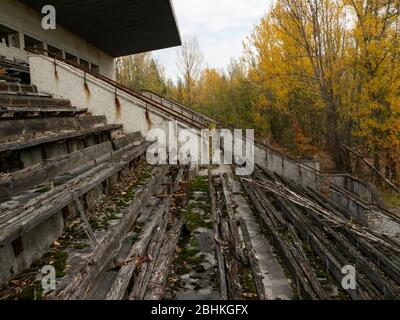 Verlassene verfallende Tribüne des Sportstadions Avangard, von der Natur in der Geisterstadt Pripjat in der Tschernobyl-Ausschlusszone aufgenommen. Ukraine Stockfoto