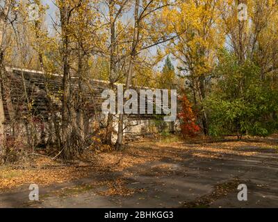 Verlassene Tribüne des Sportstadions Avangard, aufgenommen von der Natur in der Geisterstadt Pripjat in der Tschernobyl-Ausschlusszone. Ukraine Stockfoto