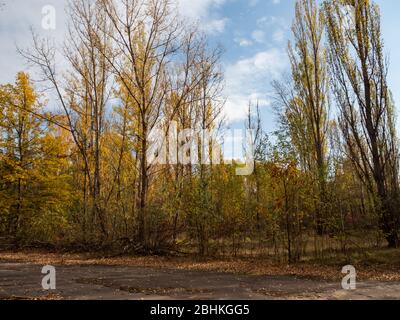 Sportstadion namens Avangard in verlassenen Stadt Pripyat von Bäumen und Büschen überwuchert. Tschernobyl-Ausschlusszone. Ukraine Stockfoto