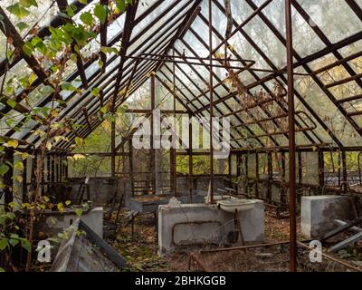 Verfallendes und verlassenes Gewächshaus in der Geisterstadt Pripyat. Tschernobyl-Ausschlusszone. Ukraine Stockfoto