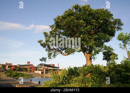 Blick auf das Centro Nacional de Artes tradicionales in Yilan, Taiwan Stockfoto