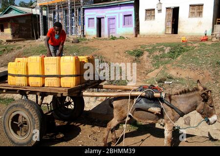 Donkey Cart liefert Wasser in gelben Behältern an lokale Haushalte Stockfoto