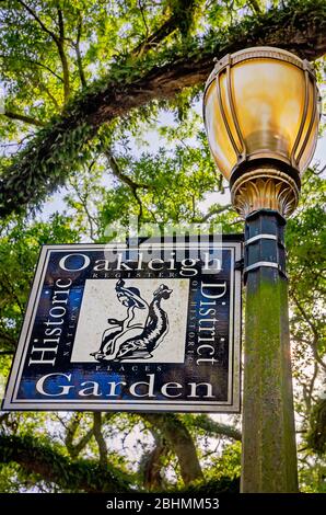 Die Sonne scheint durch lebende Eichen im historischen Oakleigh Garden District, 24. April 2020, in Mobile, Alabama. Stockfoto