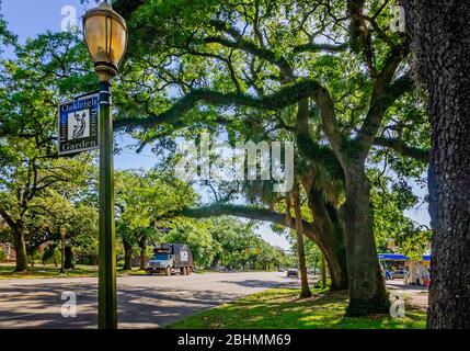 Die Sonne scheint durch lebende Eichen im historischen Oakleigh Garden District, 24. April 2020, in Mobile, Alabama. Stockfoto