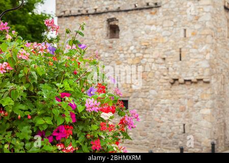 Dalkey Castle, Dublin Stockfoto