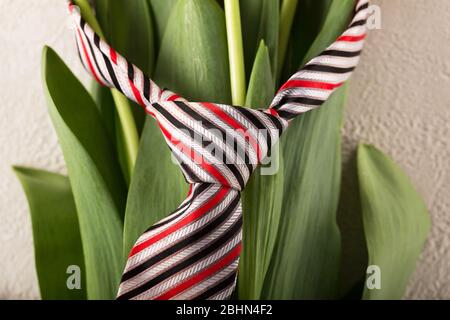 Handarbeit, Fliege, super Papa, Nachricht, Vatertag Stockfoto