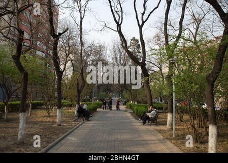 Park in Peking China mit vielen Menschen zu Fuß rund um ruhig gelassen Stockfoto