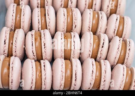 Nahaufnahme von französischen Schokoladenmakronen mit glänzender Schokoladenfüllung. Selektiver Fokus. Stockfoto