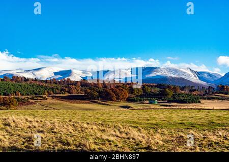 Schneebedeckte Cairngorms in Glenmore Speyside Highland Scotland UK von der B970 nördlich von Coylumbridge im Herbst mit Cairn Gorm links Stockfoto