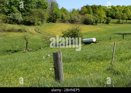 Frühlingslandschaft mit Weiden, eingezäunt durch einen elektrischen Zaun Stockfoto