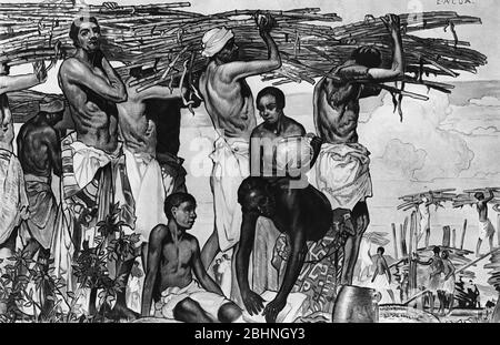 Halbton eines Volkes Kart Zuckerrohr zum Wohle des britischen Empire, möglicherweise in Jamaika. Aus einer Reihe von Schulplakaten für Geschichte und Sozialwissenschaften c 1930 Stockfoto