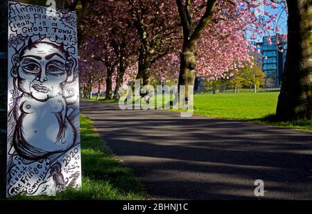 Coronation Walk, The Meadows, Edinburgh, Schottland, Großbritannien. 27.. April 2020. Üppige Kirschbaumblüte, die im frühen Morgensonnenlicht glüht, Temperatur 3 Grad, während Menschen zur Arbeit gehen, einige tragen Masken, andere nehmen ihre erlaubte Übungszeit entlang des schönen, von Bäumen gesäumten Pfades während der Coronavirus-Sperre. Im Bild: Kunstwerk, das eine Aussage macht, die sich an einen der Bäume lehnt. Stockfoto