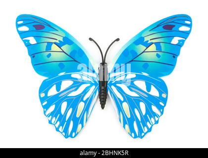 Blauer gefälschter Schmetterling isoliert weißen Hintergrund Stockfoto
