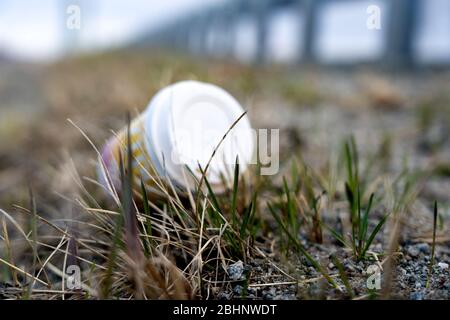 Plastikmüll auf der Seite der Straße im Gras. Gebrauchte Kaffeetasse. Verschmutzungsproblem. Stockfoto