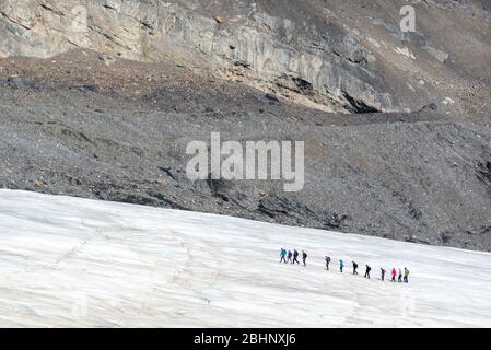 Touristenschar, die auf dem Athabasca Gletscher im Columbia Icefield, Jasper Nationalpark, Rocky Mountains, Alberta, Kanada spazieren Stockfoto