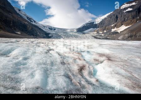 Athabasca Gletscher im Columbia Icefield, Jasper Nationalpark, Rocky Mountains, Alberta, Kanada Stockfoto