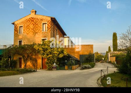 Außenansicht eines alten Gebäudes mit einem wunderschönen goldenen Wasserbaum (Acacia dealbata) und verzierten Ziegelmauer an der façade, Bardolino, Venetien, Italien Stockfoto