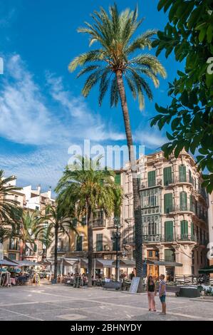 Palma de Mallorca, Spanien; 09/17/2014: Plaza de La Lonja in der historischen und touristischen Zentrum von Palma de Mallorca. Restaurants und Touristen Unternehmen Stockfoto