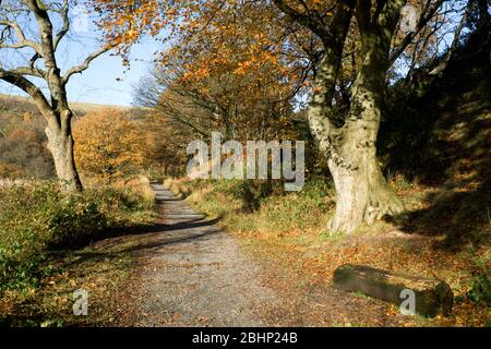 Taff Trail, Quakers Yard in der Nähe von Merthyr Tydfil, South Wales Valleys. Stockfoto