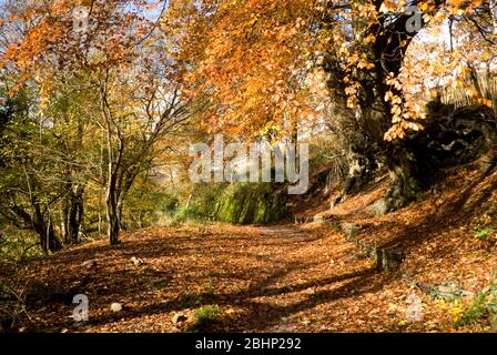 Taff Trail, Quakers Yard in der Nähe von Merthyr Tydfil, South Wales Valleys. Stockfoto