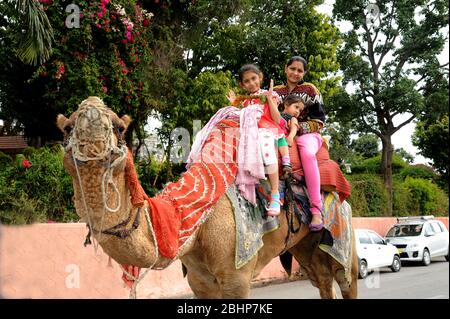 Nathdwara, Rajasthan, Indien, Asien - Jan. 23, 2014 - Indische Familienmutter mit zwei kleinen niedlichen Mädchen genießen Kamelreiten Stockfoto