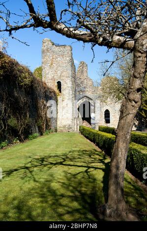 Ruinen des alten Bischofspalastes, Llandaff, Cardiff, Wales. Stockfoto