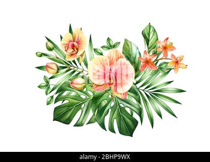 Aquarell Orchidee Bouquet. Große gelbe Blüten und Palme, Monstera Blätter. Handgemalte florale tropischen Hintergrund. Botanische Illustrationen isoliert auf Stockfoto