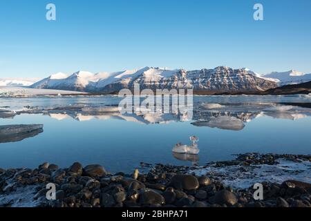 Jökulsárlón Gletschersee, Island Stockfoto